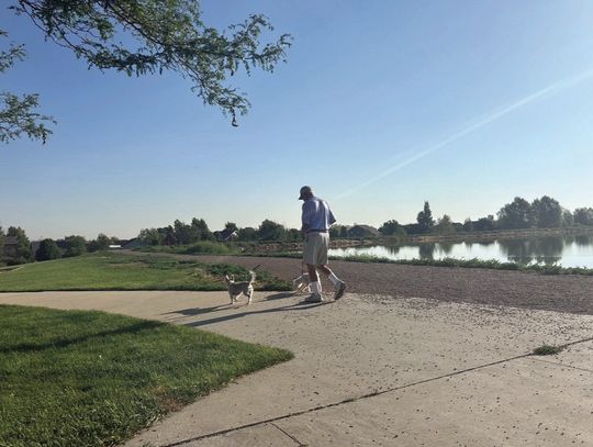 It was a “walk at the reservoir” for this man and his dogs this past weekend in Johnstown