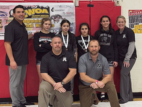 Wrestlers punch tickets to state