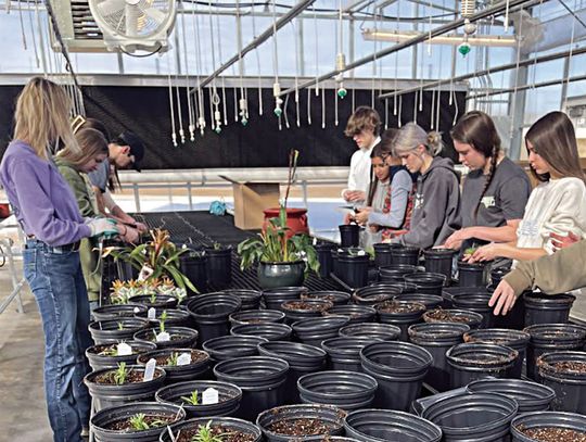 RHS Plant Science program thriving