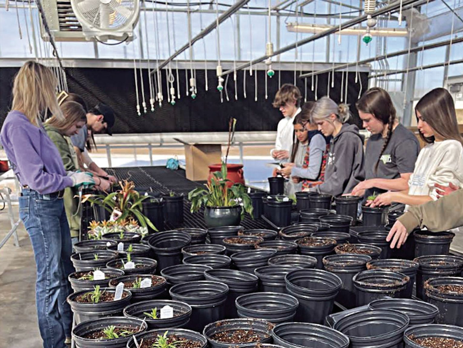 RHS Plant Science program thriving