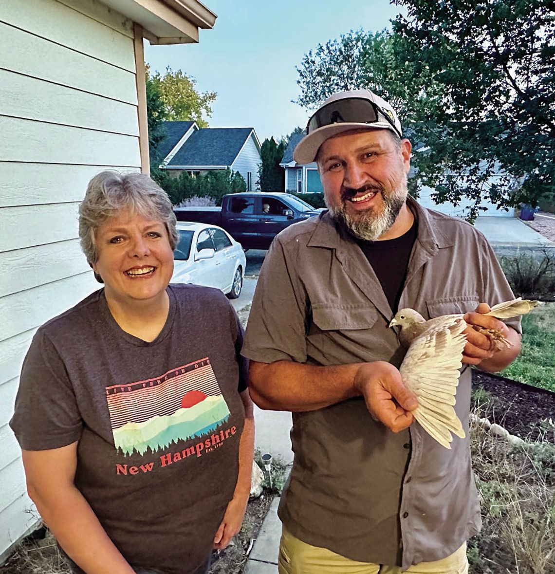 Racing pigeon makes pit stop in Johnstown