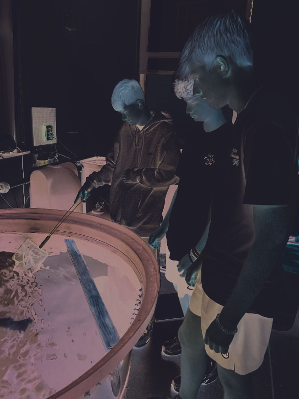 Remember when your teacher used to let you have a fish in your classroom
