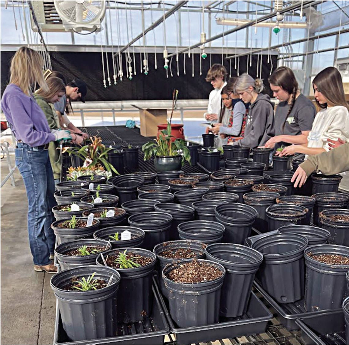 RHS Plant Science program thriving
