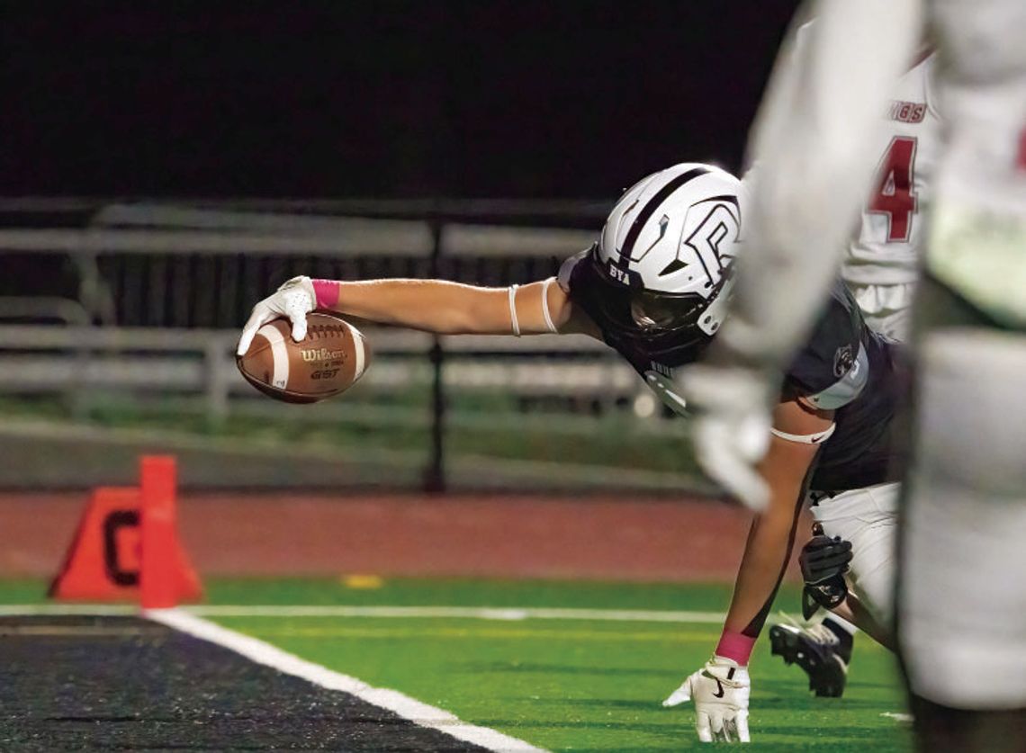 The Roosevelt Rough Riders